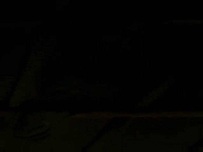 Pássaros sem asas