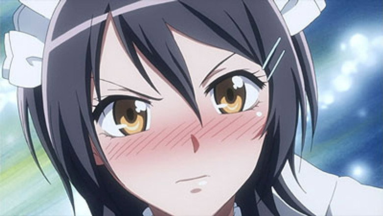 Primeira vez cuidando da loja